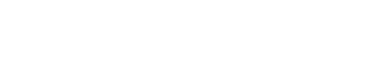 Griffins Security Services